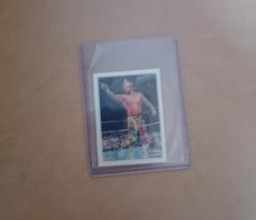 "Macho King" Randy Savage (WWF Hasbro) (SummerSlam)