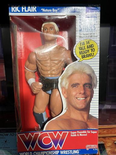 Ric Flair (14 Inch) (WCW Galoob)